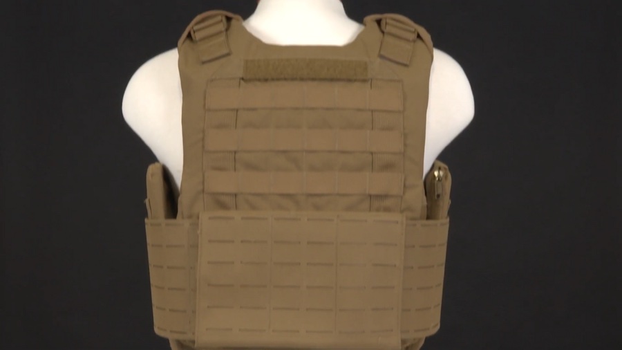 Rear of a plate carrier showing the back plate area and MOLLE webbing