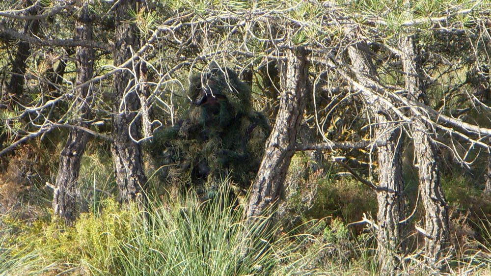 Airsoft player in a ghillie suit concealed in woodland